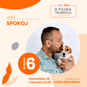 Epizoda 6. - Spokoj