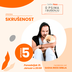 Epizoda 5 - Skrušenost