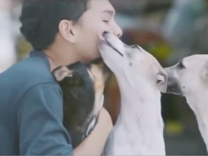 Video dečaka koji grli napuštene pse topi srca
